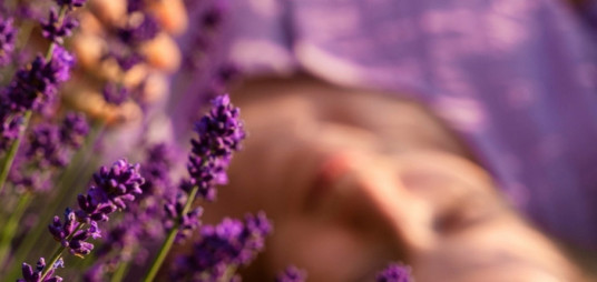 <p>Tendencias en fragancias para el hogar este a&ntilde;o</p>

<p>&nbsp;</p>
