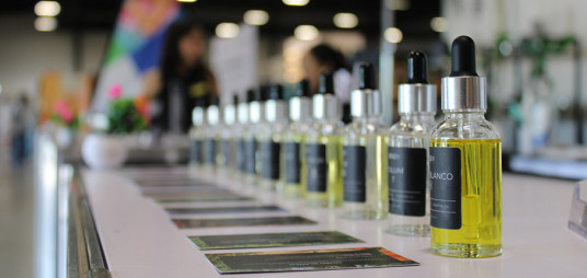 <p>5 fragancias que elevan tu rutina diaria</p>
