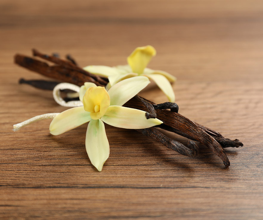 Aroma gourmand vainilla beans Senzo Boutique